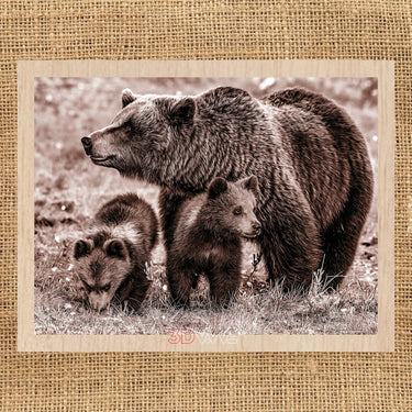 BEARS pyroprinter & laser-ready files 3DWave.us